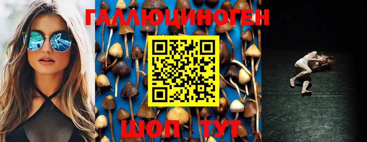 Волжск  Галлюциногенные грибы Psilocybine cubensis  Вход с VPN 